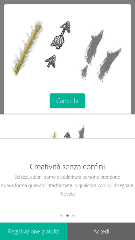 Adobe brush2