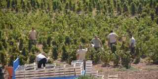 Gli “angeli matti” che a Favignana rincorrono un sogno