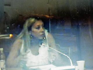 Terre Verdiane: affondo della minoranza