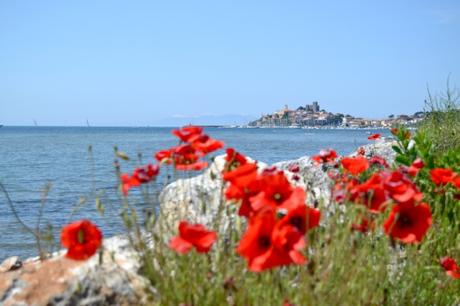 Spiaggia baia di Talamone