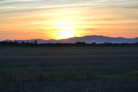 Tramonto in Maremma