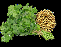 Detergente fai da te al coriandolo: pelle tonica e profumata