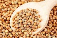 Oleolito alle spezie per massaggio o bagno fai da te