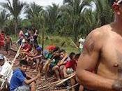 ferrovia cinese Amazzonia: 5300 devastazione