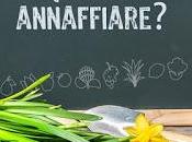 Quando annaffiare?