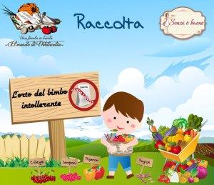 raccolta-giugno