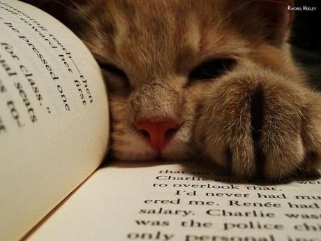 CS - Concorso letterario “Racconta gli animali”