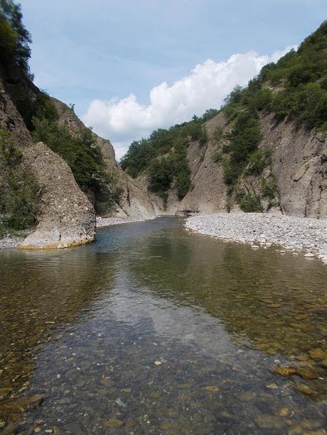 Viva il fiume pulito!