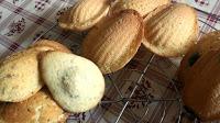 MANGIA CIO' LEGGI Madeleines sapori ispirate 