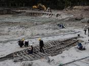 Navi medioevali Tallin, Estonia