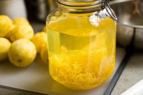 Limoncello