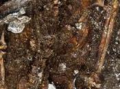 ricco defunto Lavau?