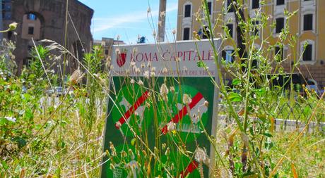 Tante immagini dal mercatino del rubato e della monnezza di Porta Maggiore. La porta più bella delle Mura Aureliane è pronta per il Giubileo