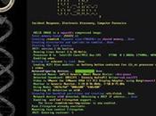 Come installare semplicemente velocemente Linux macchina Dos.