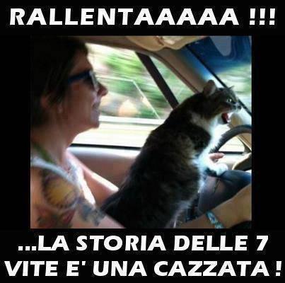 rallentare-per-autovelox