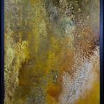 Colori, Marcella Donati