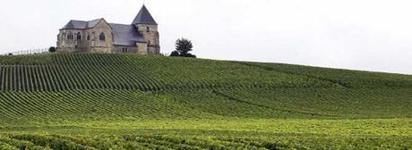 Champagne-vineyard-10000853
