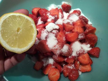 PANNA COTTA CON SALSA E FRAGOLE FRESCHE