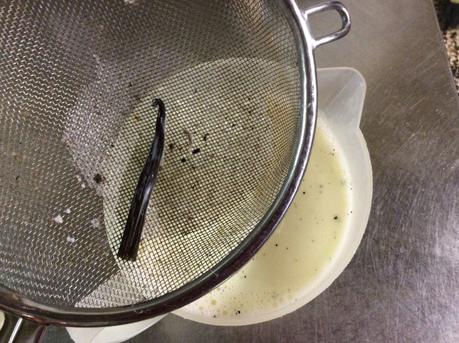 PANNA COTTA CON SALSA E FRAGOLE FRESCHE