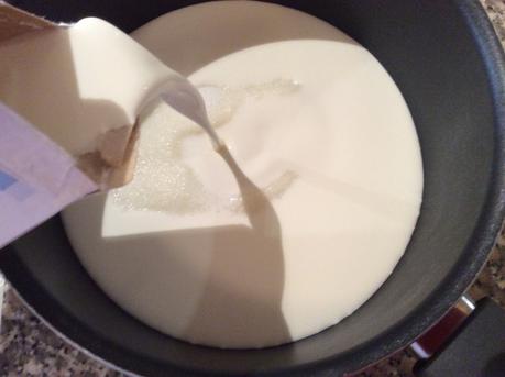 PANNA COTTA CON SALSA E FRAGOLE FRESCHE