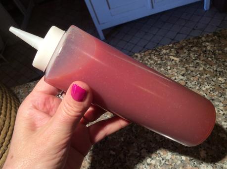 PANNA COTTA CON SALSA E FRAGOLE FRESCHE