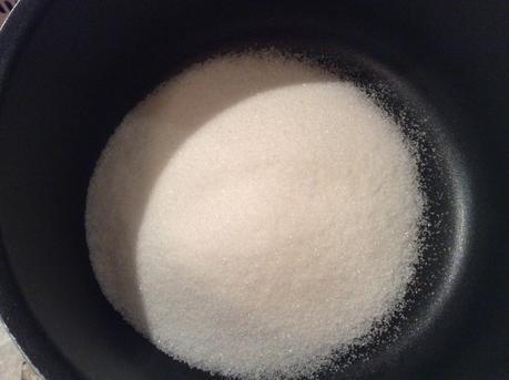 PANNA COTTA CON SALSA E FRAGOLE FRESCHE