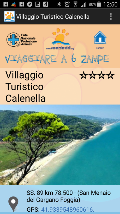 Vacanze_Bestiali_screen (3)