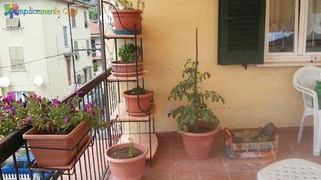 L'orto sul balcone s'ingrandisce