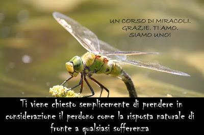 Nessuno che considera se stesso colpevole può evitare di sentire paura di Dio. Parte 1. Nessuno che considera se stesso colpevole può evitare di sentire paura di Dio. Parte 1.