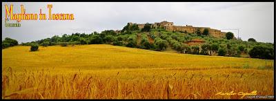 veduta di Magliano in Toscana