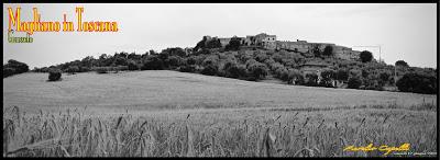 veduta di Magliano in Toscana