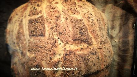 Pane con Licoli