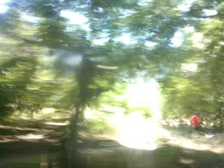 ISTANTANEA DI UN PENSIERO..