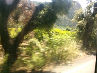 ISTANTANEA DI UN PENSIERO..