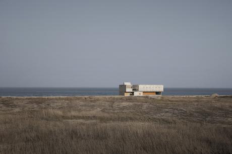 Seashore Library|Vector Architects