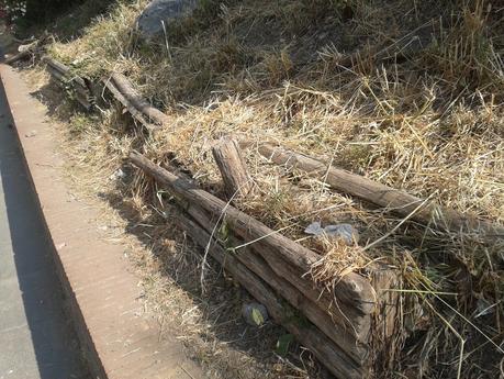 Un sabato ai Fori Imperiali e tante, tantissime domande che non avranno mai risposta. Proviamo a replicare noi!?