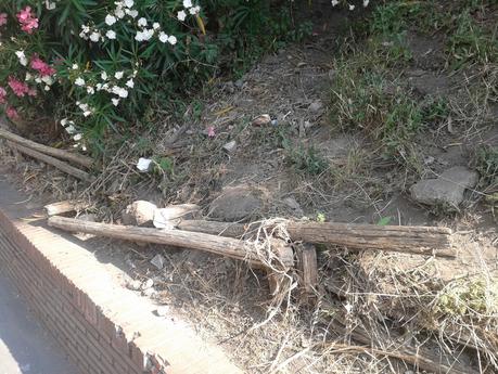 Un sabato ai Fori Imperiali e tante, tantissime domande che non avranno mai risposta. Proviamo a replicare noi!?