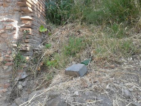 Un sabato ai Fori Imperiali e tante, tantissime domande che non avranno mai risposta. Proviamo a replicare noi!?