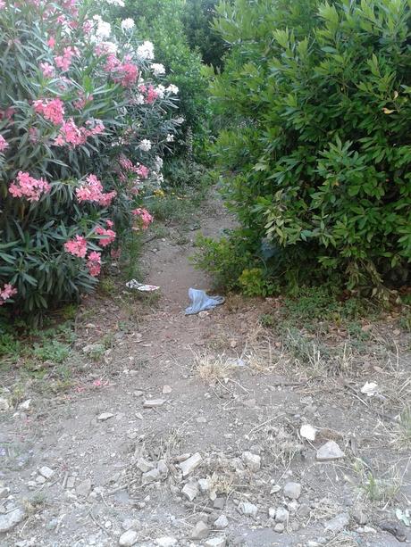 Un sabato ai Fori Imperiali e tante, tantissime domande che non avranno mai risposta. Proviamo a replicare noi!?