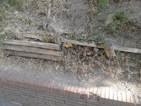 Un sabato ai Fori Imperiali e tante, tantissime domande che non avranno mai risposta. Proviamo a replicare noi!?