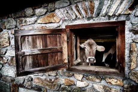 Trentino all'insegna del gusto.