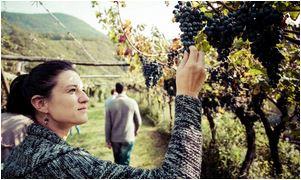 Trentino all'insegna del gusto.