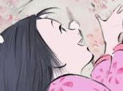 Storia della Principessa Splendente