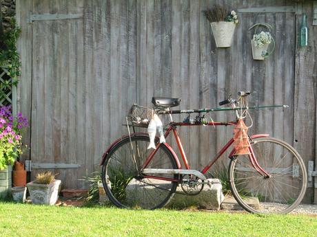 Un fantastico B & B in Bretagna