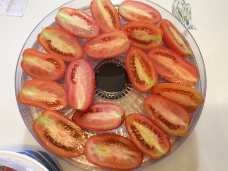 POMODORI ESSICCATI E CONSERVATI CON CAPPERI SOTT’OLIO