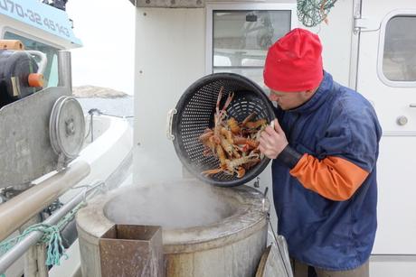 Svezia dell’Ovest: un viaggio tra paesaggi da cartolina e i frutti di un mare impetuoso