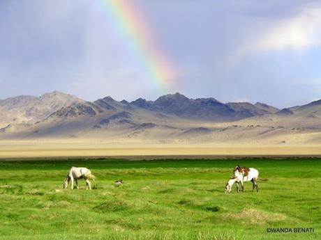 Organizzare un viaggio in Mongolia