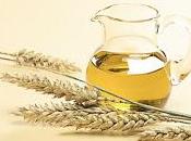 Olio germe grano: l'antiossidante favorisce dimagrimento