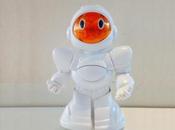 Arriva Biro, robot risparmiare sulle bollette