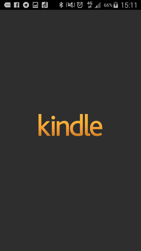 Kindle_screen